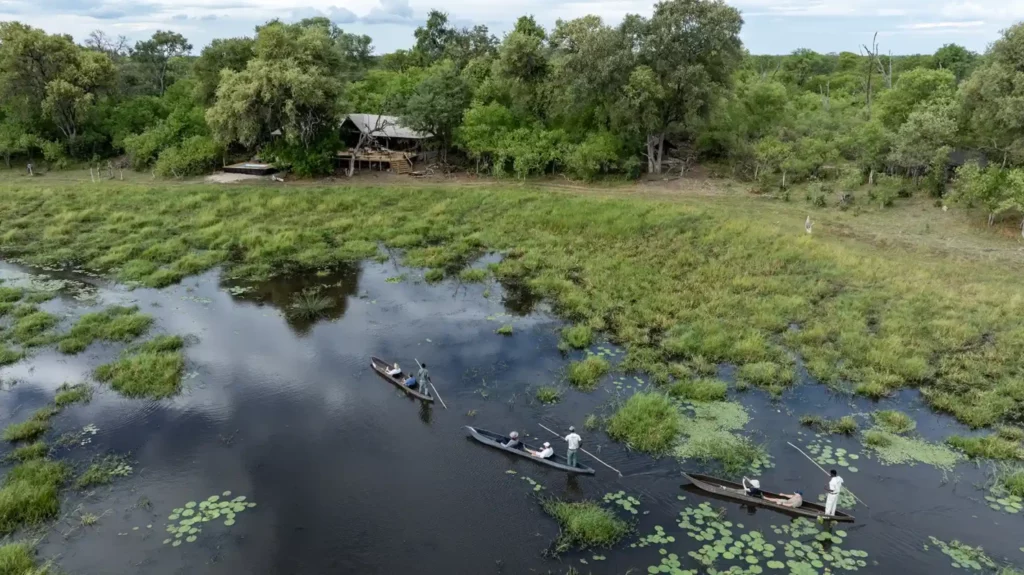 Okavango Wilderness Retreats