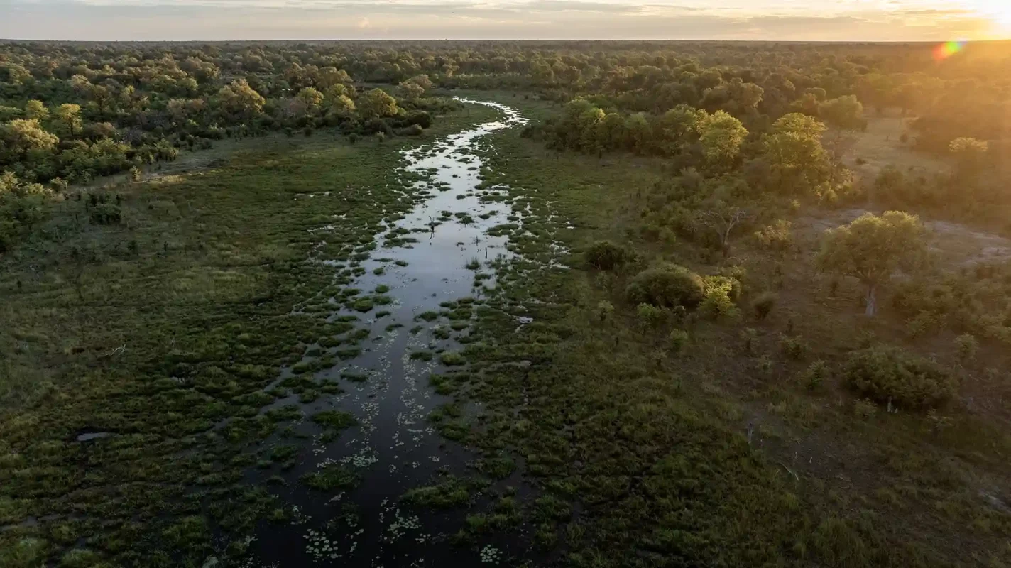 Okavango Wilderness Retreats