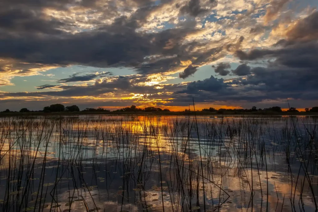 Okavango Wilderness Retreats Delta