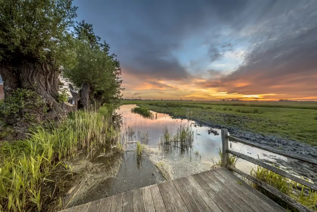 Okavango Wilderness Retreats